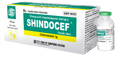 SHINDOCEF (Cephalosporin - thế hệ 2)
