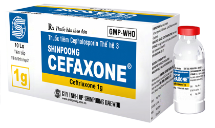 SHINPOONG CEFAXONE (Cephalosporin thế hệ 3)